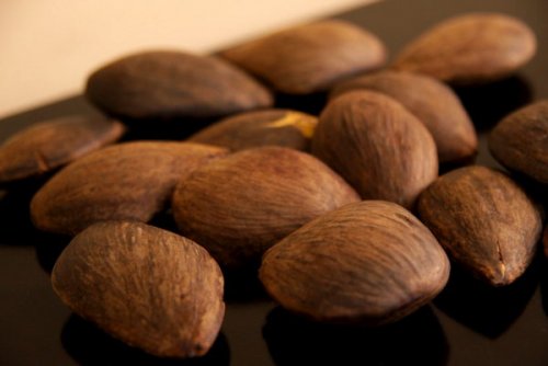 Image of pracaxi seeds