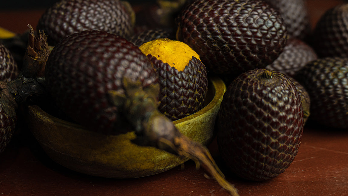 Image of Buriti Seeds, the oil of which is used in our Holy Face OIl.