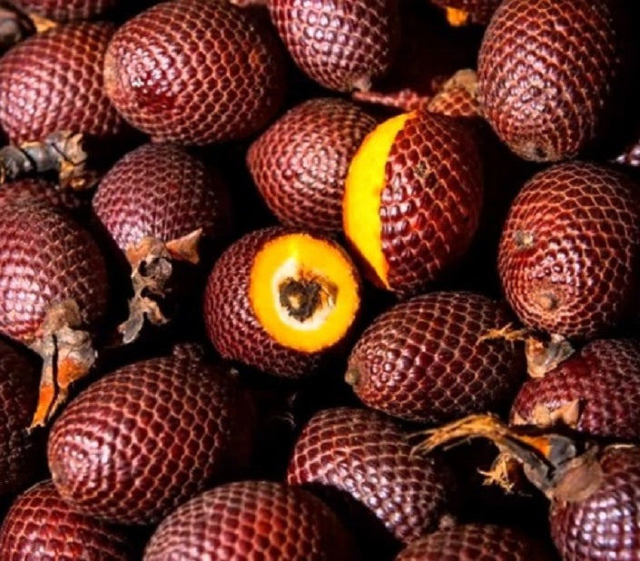Image of Buriti Oil